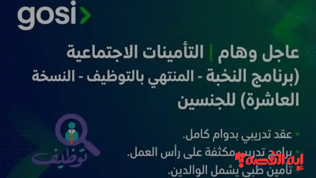 تأمينات تعلن عن فتح باب القبول في برنامج النخبة للتوظيف واستقبال طلبات المتقدمين خلال إسبوعين